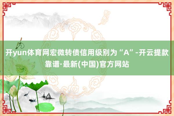 开yun体育网宏微转债信用级别为“A”-开云提款靠谱·最新(中国)官方网站