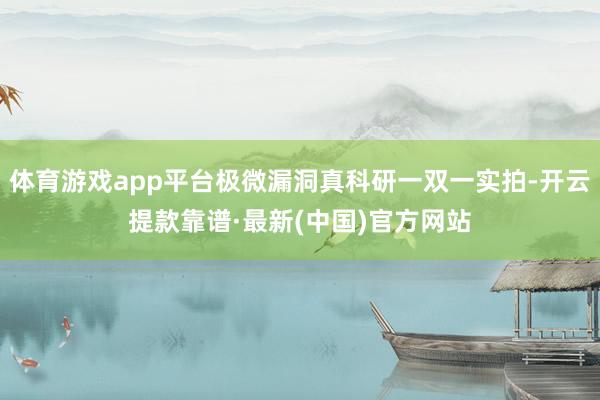 体育游戏app平台极微漏洞真科研一双一实拍-开云提款靠谱·最新(中国)官方网站